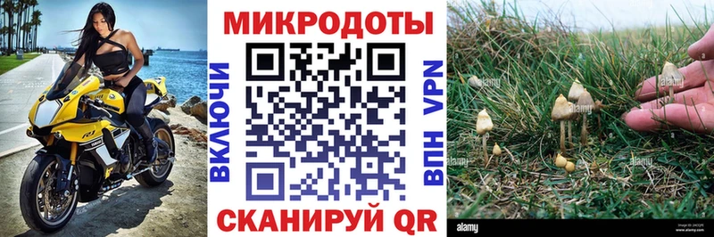 Купить где  Гай  Галлюциногенные грибы мицелий 